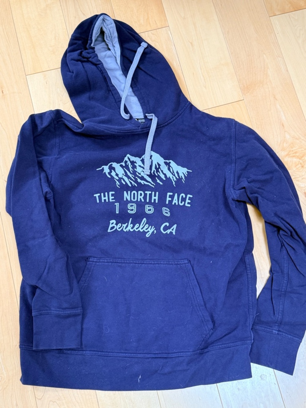 The North Face Navy Pullover Hoodie with Light Blue Graphic